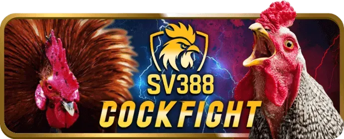 Một game thủ chuyên nghiệp đang thi đấu eSports, đại diện cho cá cược eSports tại hi88vip6 trang chủ chính thức.